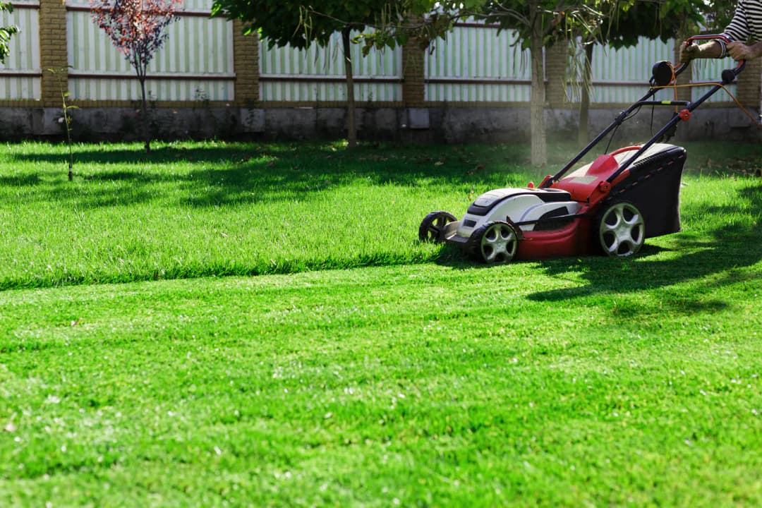 A red electric push mower cutting a lush green lawn in bright summer sun, leaving an even, freshly mown stripe