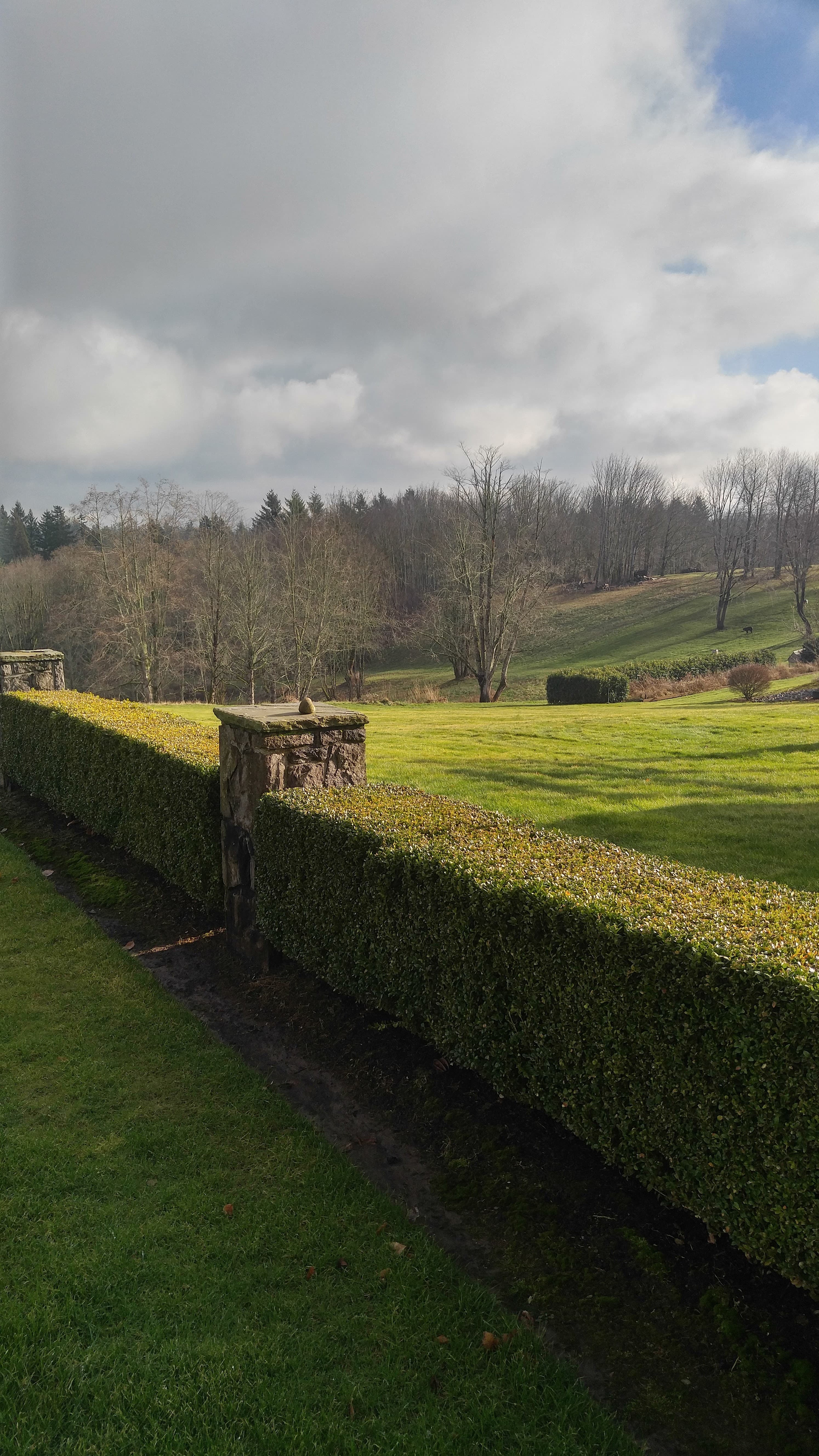 Lush landscaped garden scene