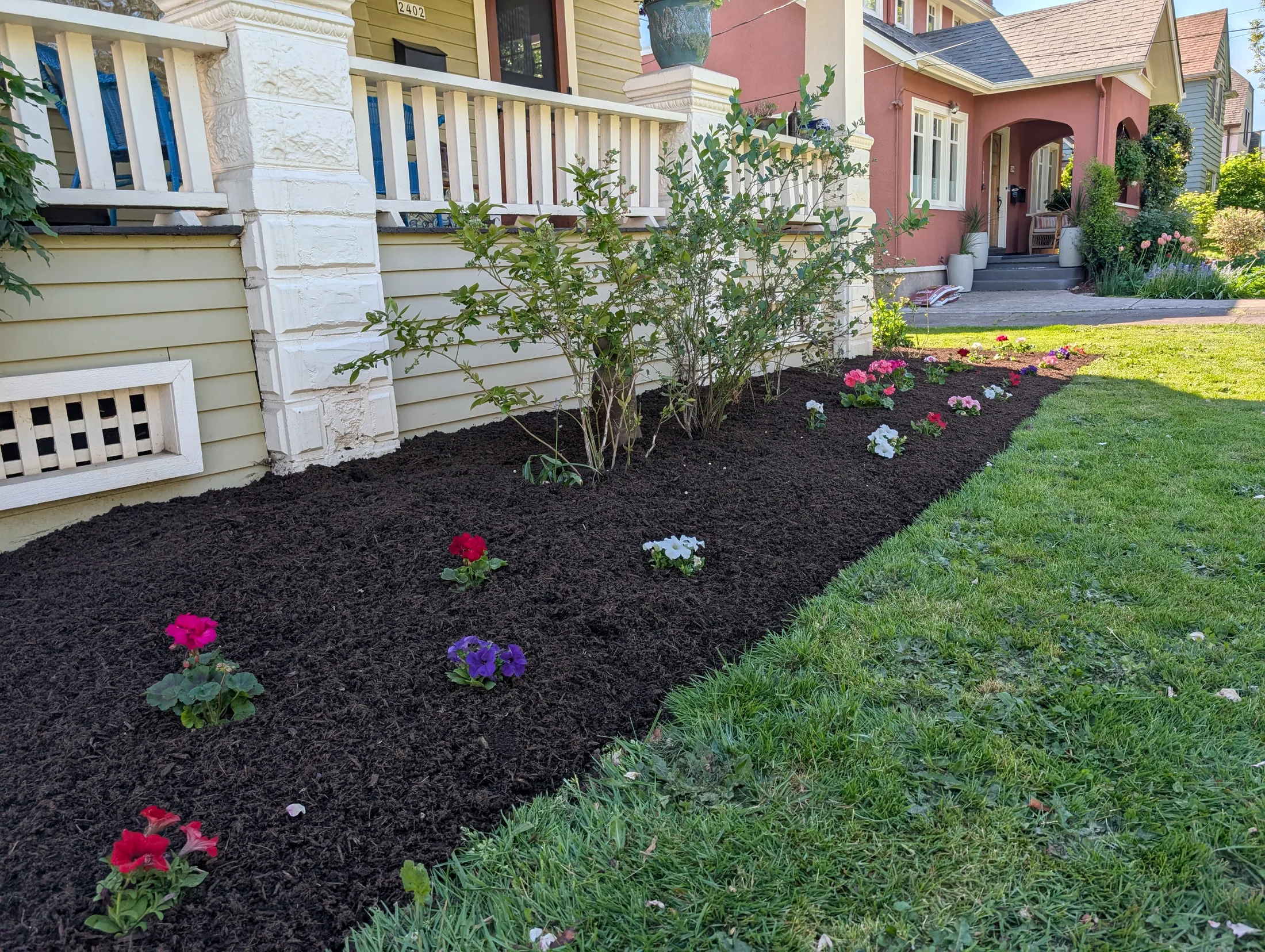 Refreshed front flower bed with fresh dark mulch, crisp edges, and colorful flowers beside a clean lawn edge