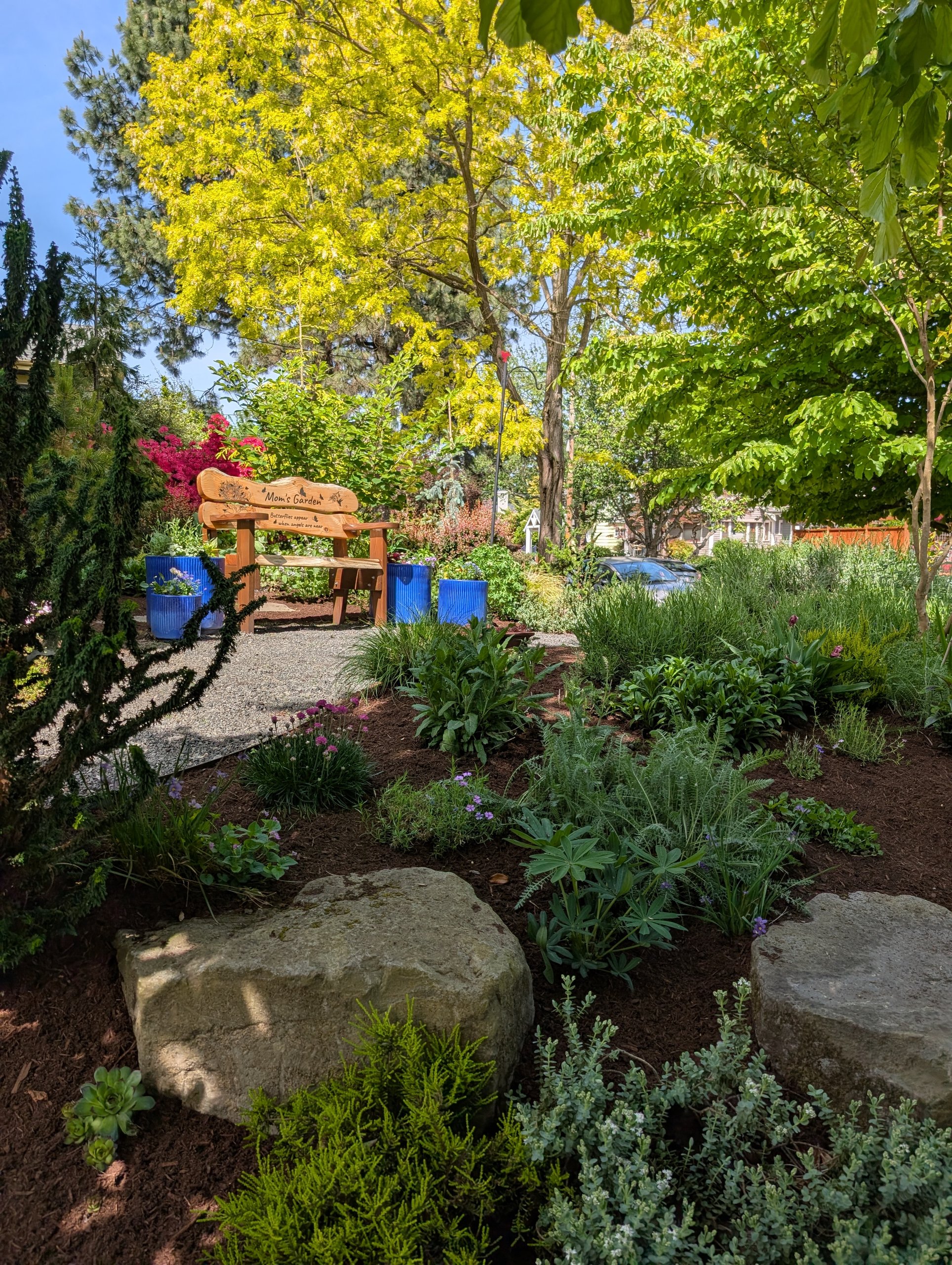 Mature garden bed with boulders, a gravel path, and a wooden bench kept clean and mulched through the fall